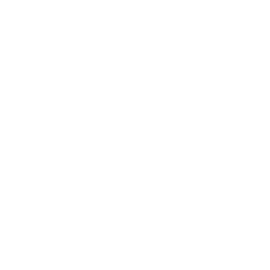 Virtual Assessment Icon